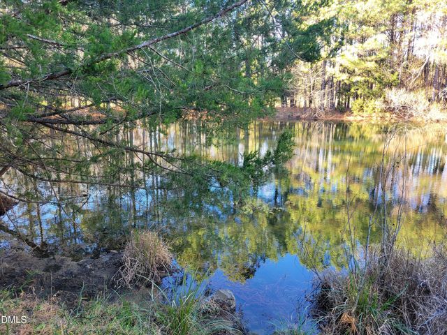 0 Old Us 421 S Highway, Siler City, NC 27344