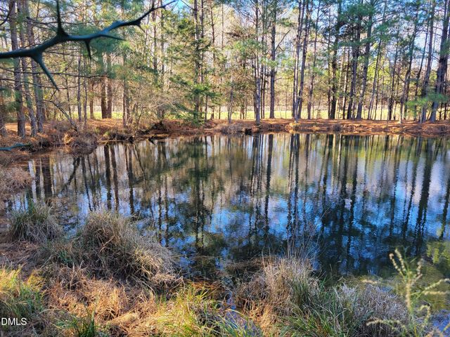 0 Old Us 421 S Highway, Siler City, NC 27344