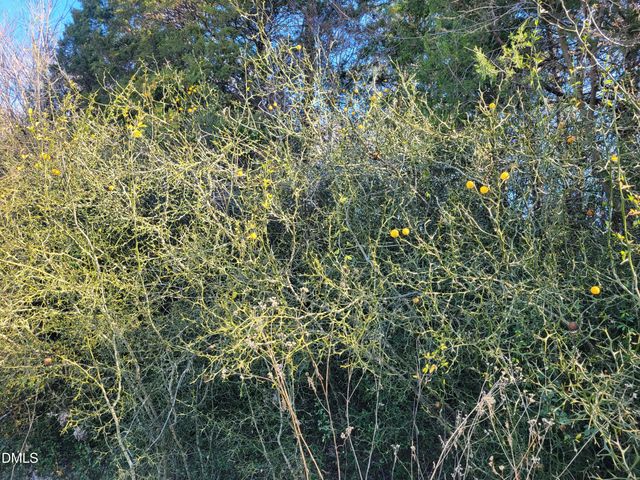 0 Old Us 421 S Highway, Siler City, NC 27344