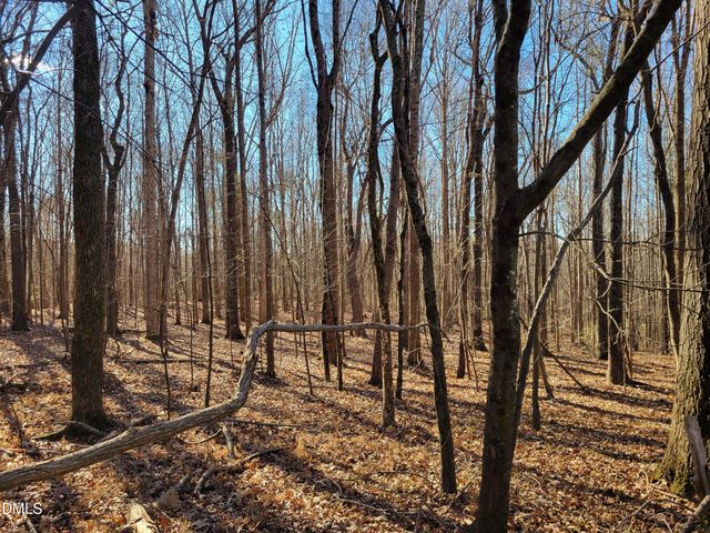 0 Old Us 421 S Highway, Siler City, NC 27344