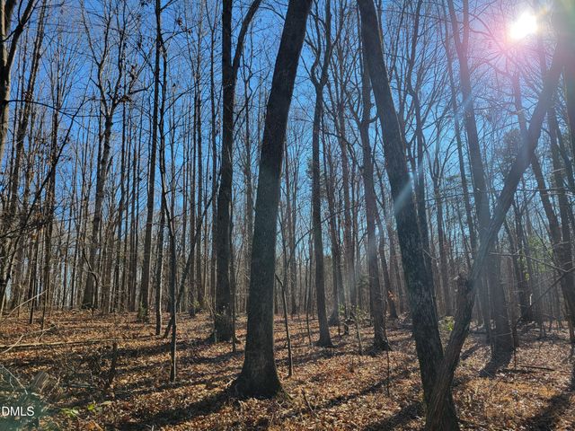 0 Old Us 421 S Highway, Siler City, NC 27344