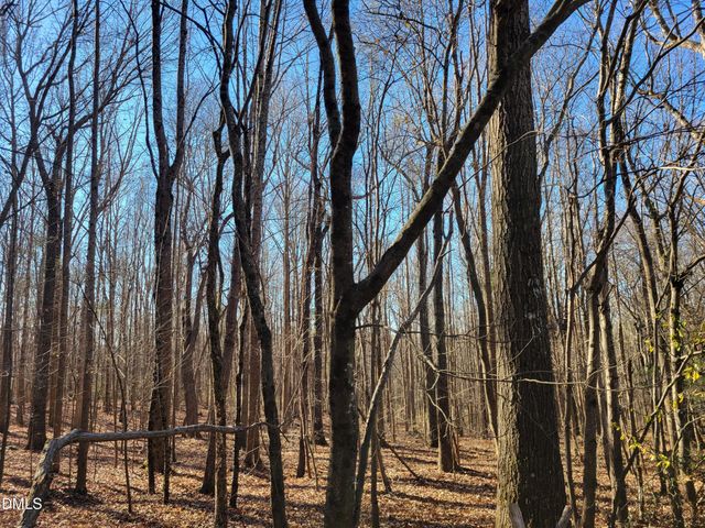 0 Old Us 421 S Highway, Siler City, NC 27344