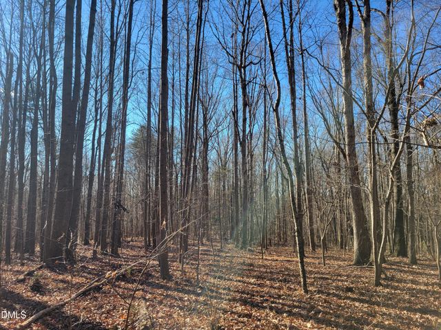 0 Old Us 421 S Highway, Siler City, NC 27344