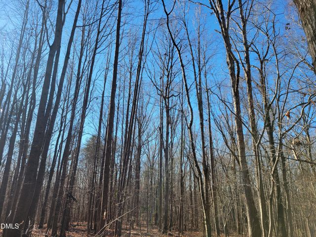 0 Old Us 421 S Highway, Siler City, NC 27344