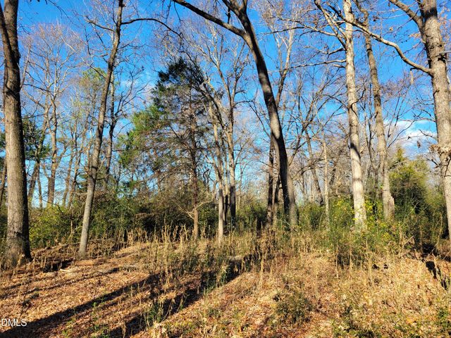 0 Old Us 421 S Highway, Siler City, NC 27344