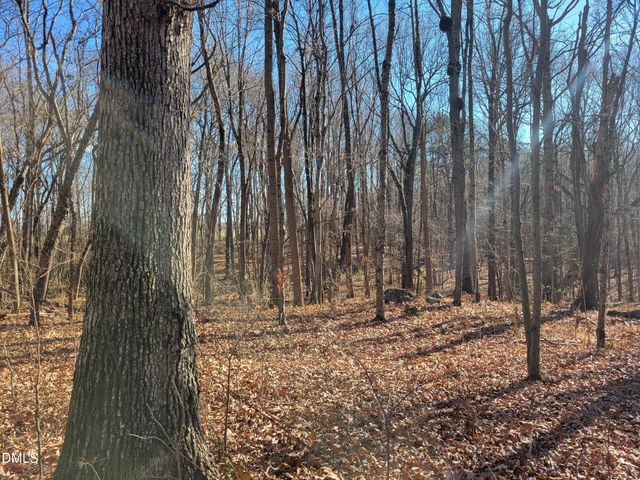 0 Old Us 421 S Highway, Siler City, NC 27344