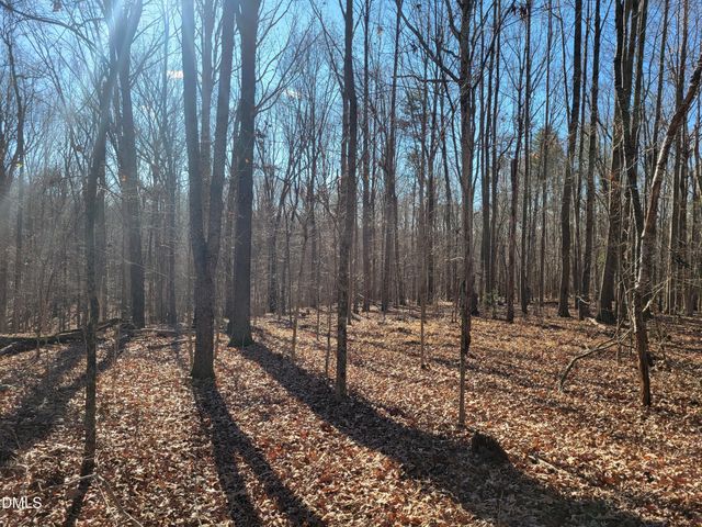 0 Old Us 421 S Highway, Siler City, NC 27344