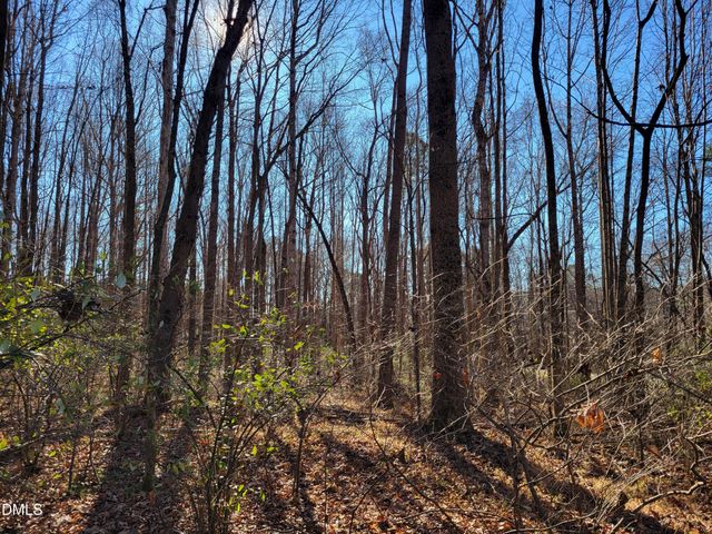 0 Old Us 421 S Highway, Siler City, NC 27344