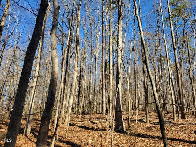 0 Old Us 421 S Highway, Siler City, NC 27344