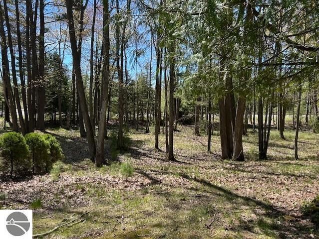 1095 E Lincoln Street, East Tawas, MI 48730