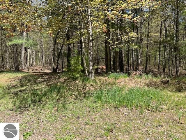 1095 E Lincoln Street, East Tawas, MI 48730