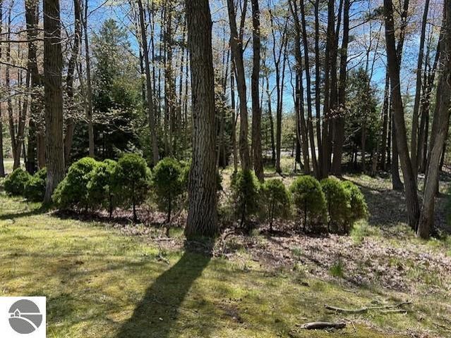 1095 E Lincoln Street, East Tawas, MI 48730