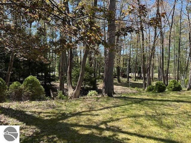 1095 E Lincoln Street, East Tawas, MI 48730
