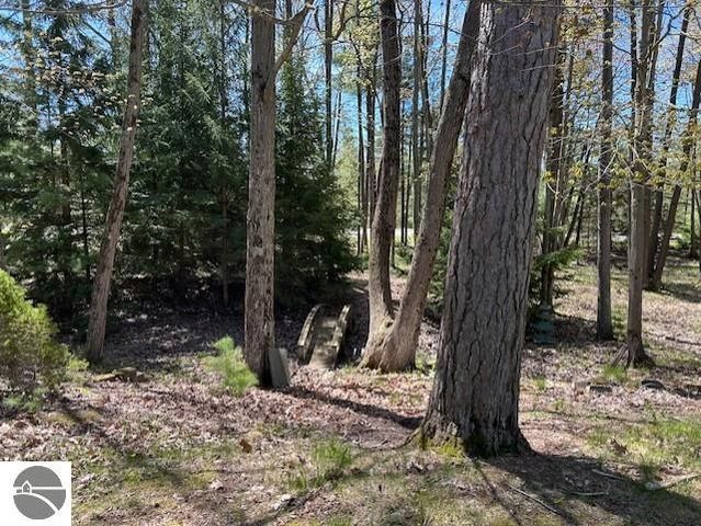 1095 E Lincoln Street, East Tawas, MI 48730