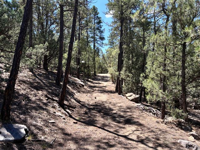 27 Green Shadows Lane, Tijeras, NM 87059