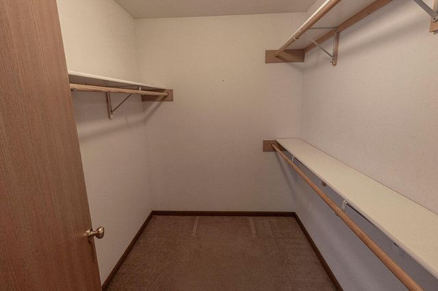 1606 TYPHOON DR, Columbia, MO 65202