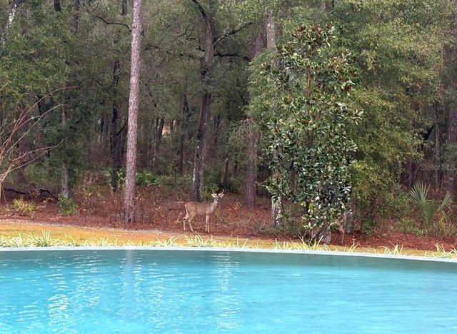 1985 FATIO ROAD, Deland, FL 32720