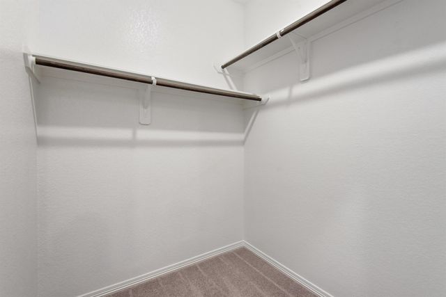 25719 Northpark Palm Drive, Porter, TX 77365