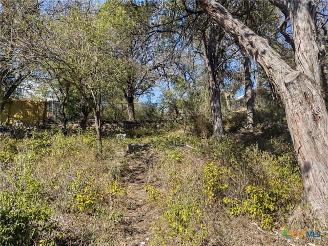 595 Dittlinger Street, New Braunfels, TX 78130