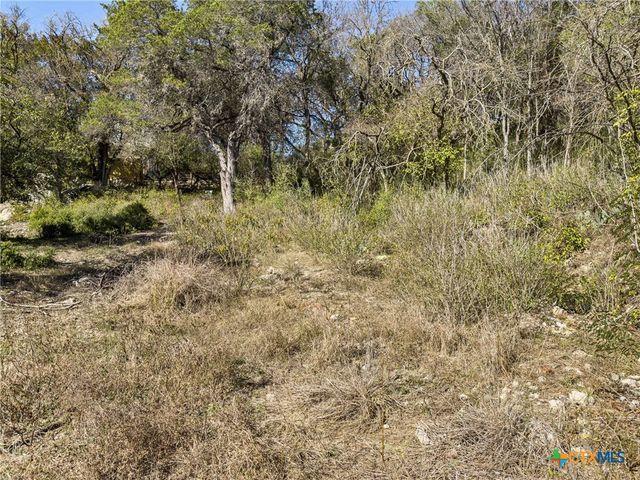 595 Dittlinger Street, New Braunfels, TX 78130