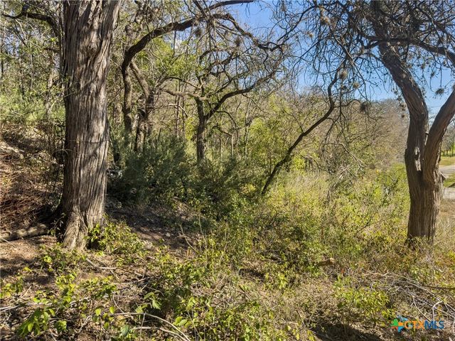 595 Dittlinger Street, New Braunfels, TX 78130