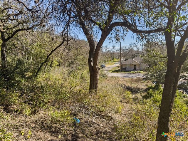 595 Dittlinger Street, New Braunfels, TX 78130