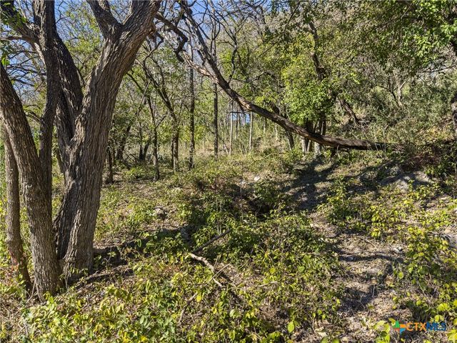 595 Dittlinger Street, New Braunfels, TX 78130