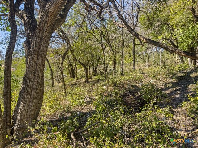 595 Dittlinger Street, New Braunfels, TX 78130