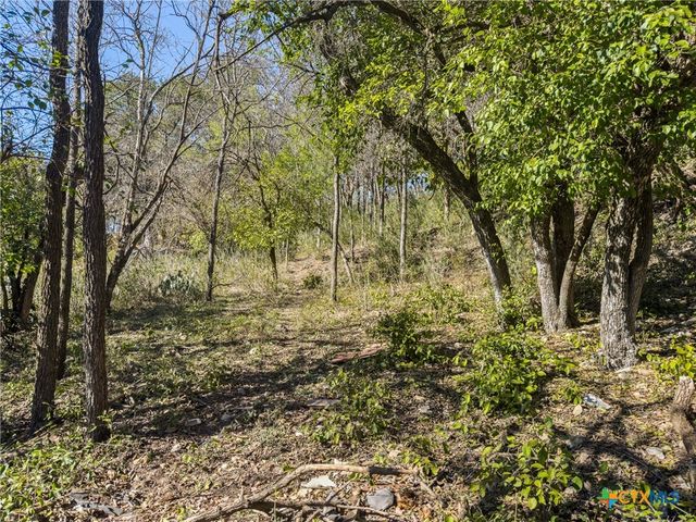 595 Dittlinger Street, New Braunfels, TX 78130