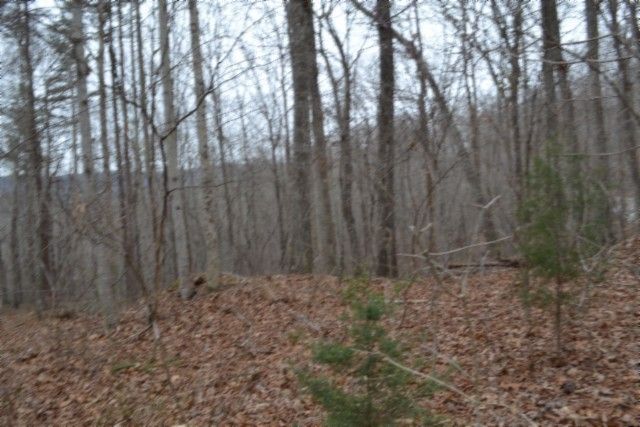 0 Cheyenne Drive, Jamestown, TN 38556
