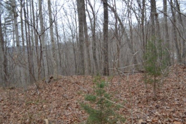 0 Cheyenne Drive, Jamestown, TN 38556