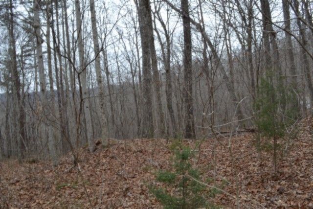 0 Cheyenne Drive, Jamestown, TN 38556