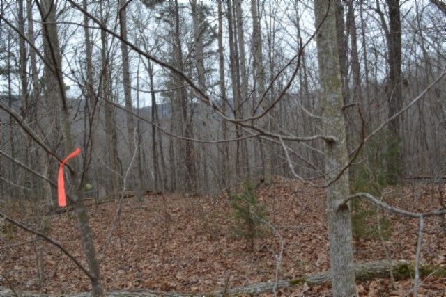 0 Cheyenne Drive, Jamestown, TN 38556