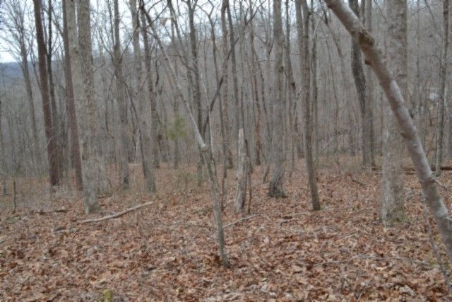 0 Cheyenne Drive, Jamestown, TN 38556
