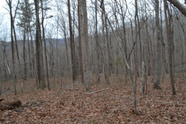 0 Cheyenne Drive, Jamestown, TN 38556
