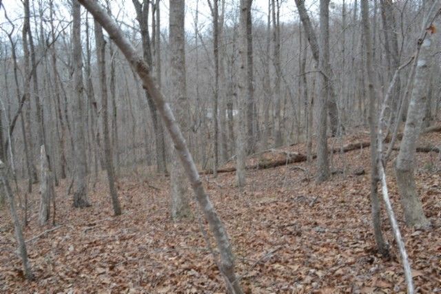 0 Cheyenne Drive, Jamestown, TN 38556