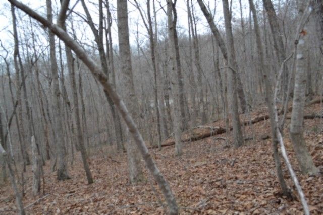 0 Cheyenne Drive, Jamestown, TN 38556