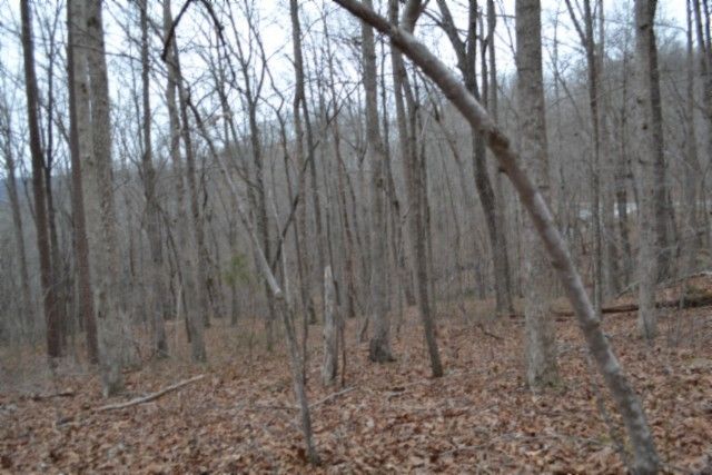 0 Cheyenne Drive, Jamestown, TN 38556