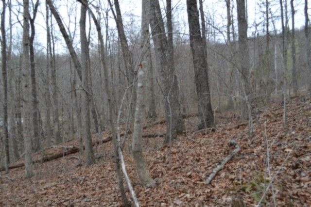 0 Cheyenne Drive, Jamestown, TN 38556