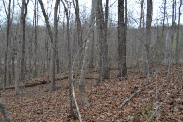 0 Cheyenne Drive, Jamestown, TN 38556