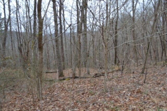 0 Cheyenne Drive, Jamestown, TN 38556