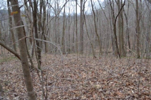 0 Cheyenne Drive, Jamestown, TN 38556