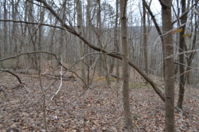 0 Cheyenne Drive, Jamestown, TN 38556