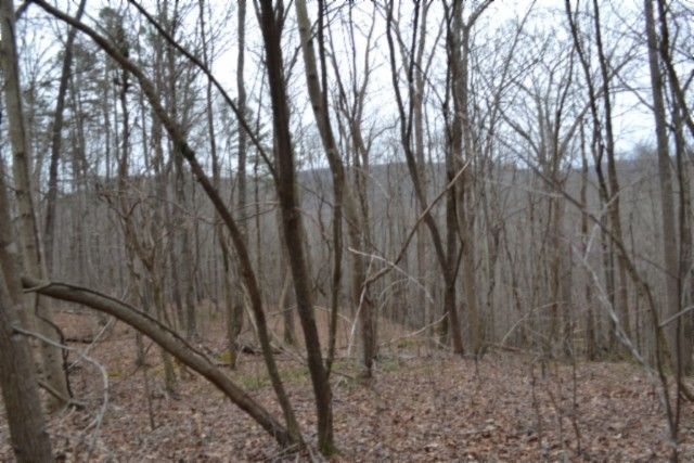 0 Cheyenne Drive, Jamestown, TN 38556