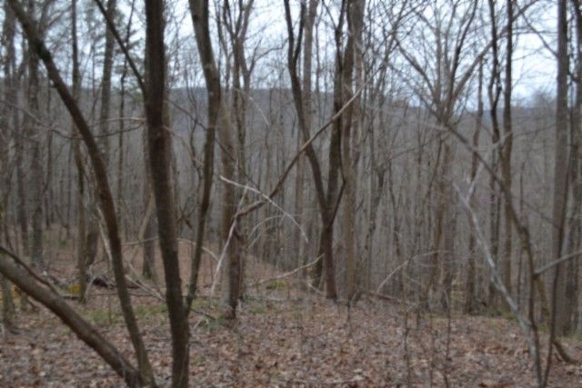 0 Cheyenne Drive, Jamestown, TN 38556