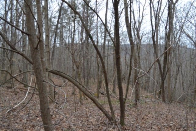 0 Cheyenne Drive, Jamestown, TN 38556