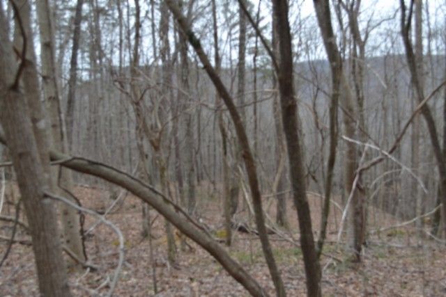 0 Cheyenne Drive, Jamestown, TN 38556