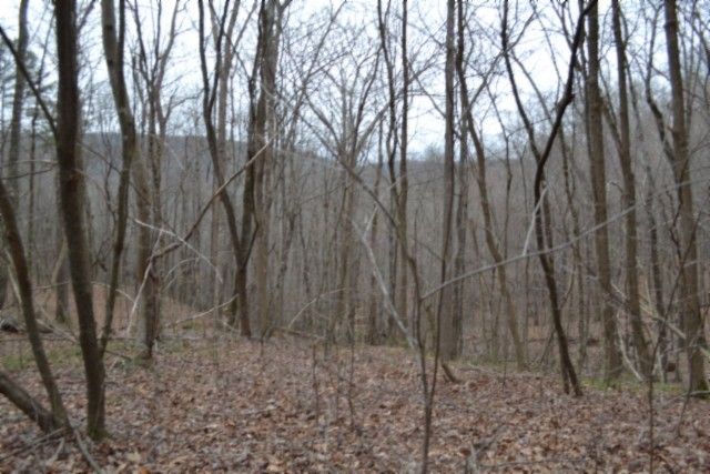 0 Cheyenne Drive, Jamestown, TN 38556