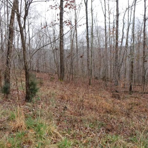 0 Cheyenne Drive, Jamestown, TN 38556