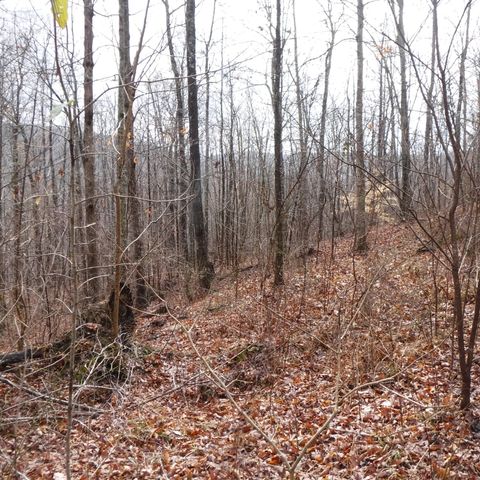 0 Cheyenne Drive, Jamestown, TN 38556